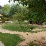 Kita-Pusteblume-Ennigerloh (6)